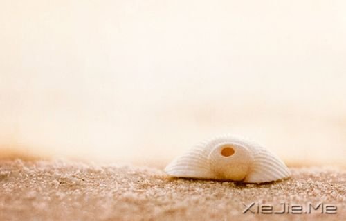 早安心语:你的心很小,不要装下太多忧伤 (4)